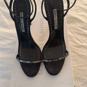 Manolo Blahnik Crinastra Heel